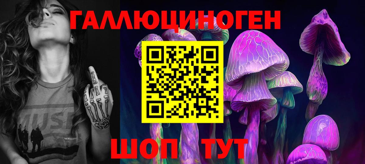 Псилоцибиновые грибы Magic Shrooms Качканар