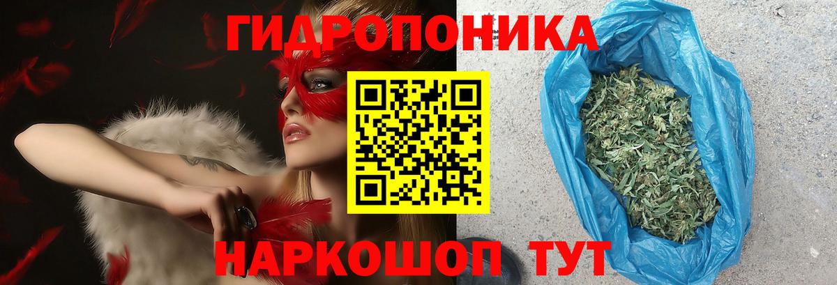 Шишки марихуана White Widow  Бошки Шишки план  Вход с VPN  Качканар  Конопля OG Kush  МАРИХУАНА THC 21% 